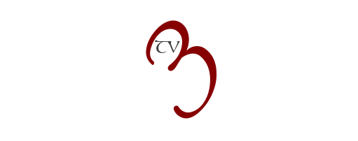 Tv3Haber - Logo